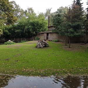 Black swan - Wallaroo enclosure