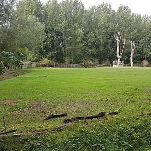 Large Donkey - Zebu enclosure