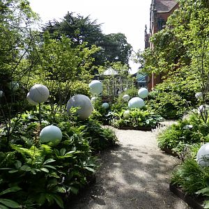 'The Pheromone Zone'