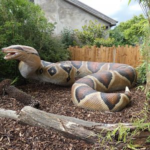 Animatronic Titanoboa