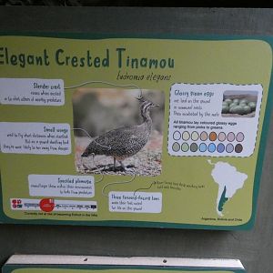 Tinamou signage