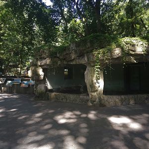 Spotted Seal Indoor Pool