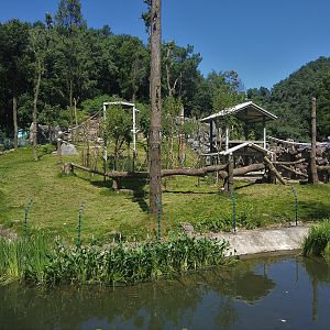 Common Chimpanzee Enclosure