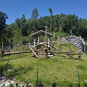 Common Chimpanzee Enclosure