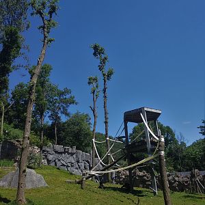 Common Chimpanzee Enclosure