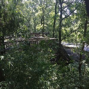 View down towards Primate Cages