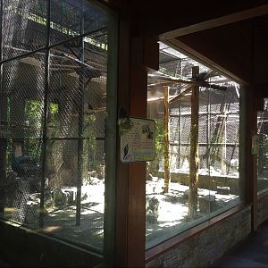 Primate Exhibit Row