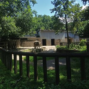 Asian Elephant Exhibit