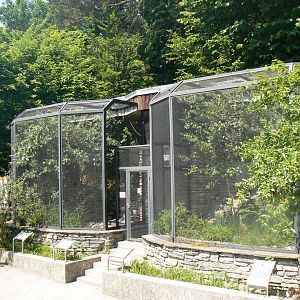 Aviaries for Small Birds - 4 June 2019