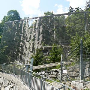 Lammergeier Aviary - 4 June 2019