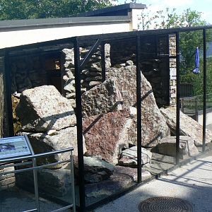 Wallcreeper Aviary - 4 June 2019