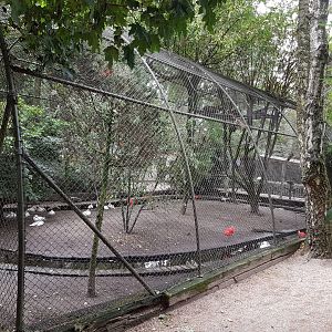Wader - waterfowl aviary