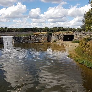 Sea-lion holding-area