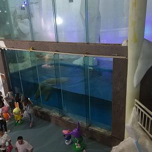 Polar Bear Exhibit