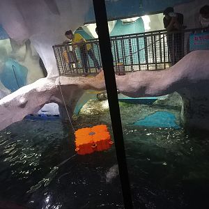 Seal Exhibit