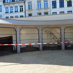 Construction of new parrot aviaries - Reconstruction of old bird-of-prey aviaries, 2019-04-20