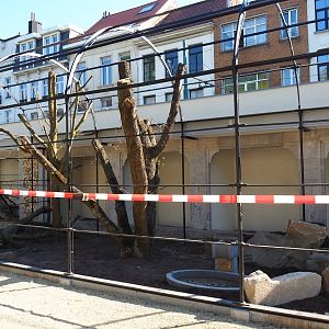 Construction of new parrot aviaries - Reconstruction of old bird-of-prey aviaries, 2019-04-20