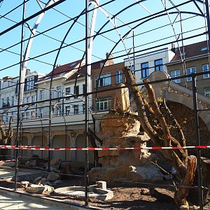 Construction of new parrot aviaries - Reconstruction of old bird-of-prey aviaries, 2019-04-20