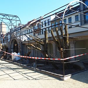 Construction of new parrot aviaries - Reconstruction of old bird-of-prey aviaries, 2019-04-20