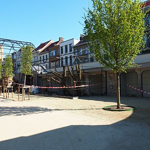 Construction of new parrot aviaries - Reconstruction of old bird-of-prey aviaries, 2019-04-20