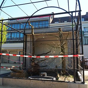 Construction of new parrot aviaries - Reconstruction of old bird-of-prey aviaries, 2019-04-20