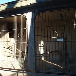 Historical photo of the old set-up of the bird-of-prey aviaries (Circa 2007)