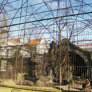 Historical photo of the old set-up of the bird-of-prey aviaries (Circa 2008)