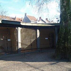 Historical photo of the old set-up of the bird-of-prey aviaries (Circa 2008)