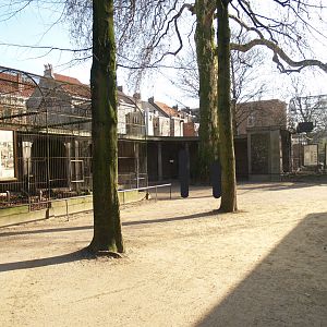 Historical photo of the old set-up of the bird-of-prey aviaries (Circa 2008)