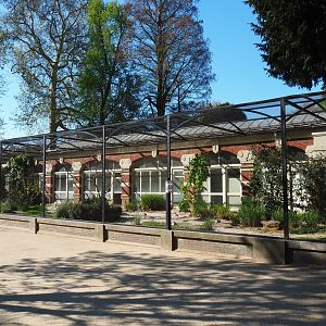Wader bird aviary, 2019-04-20