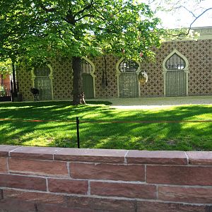 First okapi paddock, 2019-04-20