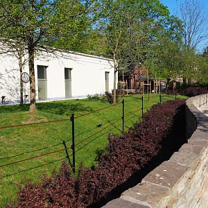 Third okapi paddock, 2019-04-20