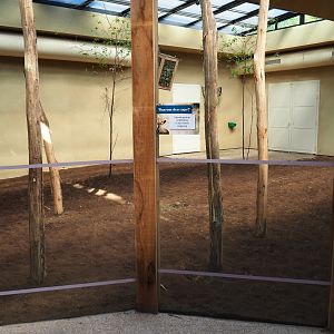VIewable okapi stable, 2019-04-20
