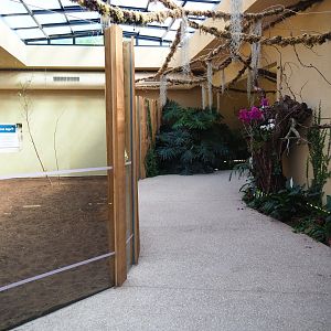 View in the okapi house in the annex to the ape house, 2019-04-20