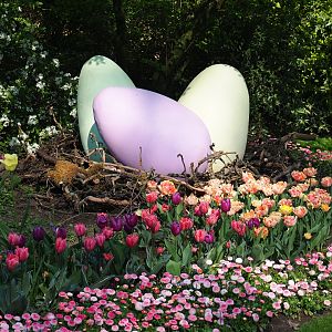 Easter decoration - Giant Easter eggs and flowers, 2019-04-20