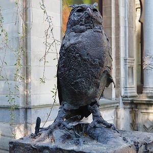 Verreaux's eagle owl statue, 2019-04-20