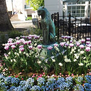 Leopard statue and flower beds, 2019-04-20