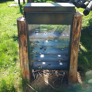 Chimpanzee enrichment feeder, 2019-04-20