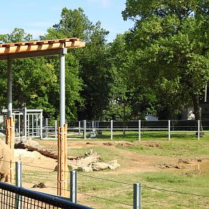 African Journey Elephant Exhibit - June 2019