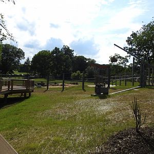 African Journey Elephant Exhibit -June 2019