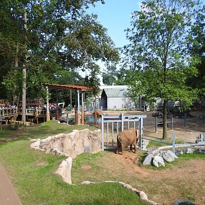 African Journey Elephant Exhibit - June 2019