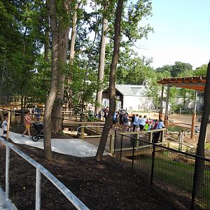 African Journey Elephant Viewing Platforms - June 2019