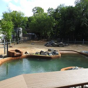 African Journey Original Elephant Yard - June 2019