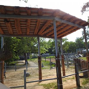 African Journey New Shade Structure in Elephant Yard - June 2019
