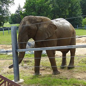 African Journey View from Platform