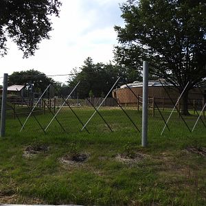 African Journey Giraffe Yard - June 2009