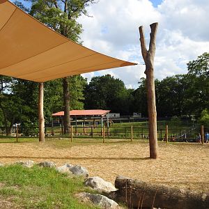 African Journey Long Giraffe Yard - June 2019