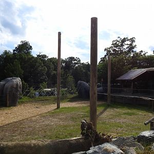 African Journey Giraffe Yard (Feeding Station Area) - June 2019