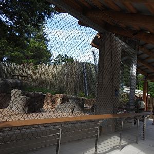 African Journey Lion Exhibit - June 2019