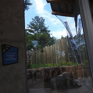 African Journey Lion Exhibit - June 2019